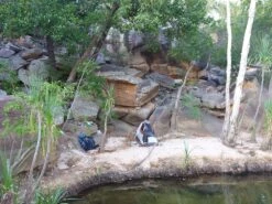 ALPS Mountaineering Lynx 1 -Tent Specialty Store 1407 Kakadu Cape York 114