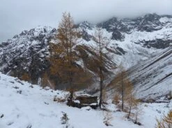 Clark North American -Tent Specialty Store 2014 11 09 104041