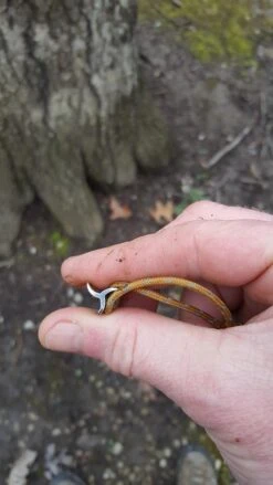 Therm-a-Rest Slacker Hammock House 32 Therm-a-Rest Slacker Hammock House -Tent Specialty Store 20170326 084452