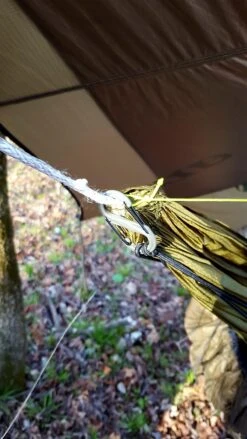 Hammock Gear Premium Incubator 20° -Tent Specialty Store 20180417 082253