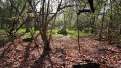 Marmot Tungsten 1P -Tent Specialty Store 20180422 085438small