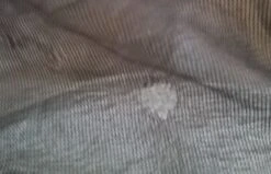 Zpacks Solplex -Tent Specialty Store 20180604 201847