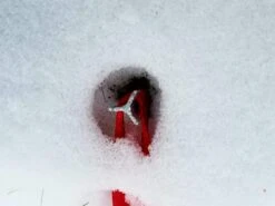 Marmot Taku -Tent Specialty Store 20181208 163301