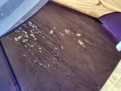 Marmot Taku -Tent Specialty Store 20181208 163434