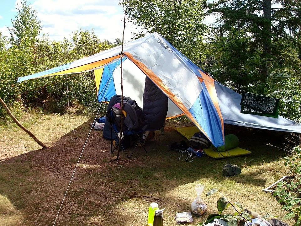 NEMO Losi 3P 17 NEMO Losi 3P - Image 17