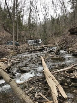 Hilleberg Kaitum 4 -Tent Specialty Store A6E3C575 B428 407A A392 0C4D7D759820