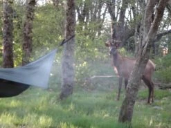 Hennessy Hammock Ultralight Backpacker Asym -Tent Specialty Store DSC03331