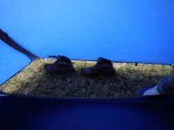 Sierra Designs Night Watch CD 27 Sierra Designs Night Watch CD -Tent Specialty Store DSCN1909