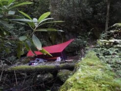 Hilleberg Mesh Tent 1 -Tent Specialty Store DSCN4496