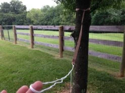 Grand Trunk Ultralight Hammock 38 Grand Trunk Ultralight Hammock -Tent Specialty Store IMG 3946