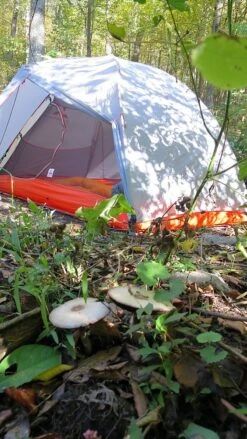 SlingFin CrossBow 2 Mesh 21 SlingFin CrossBow 2 Mesh -Tent Specialty Store IMG 5010