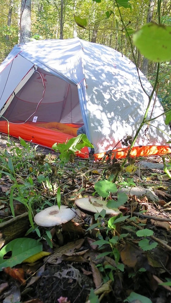 SlingFin CrossBow 2 Mesh 5 SlingFin CrossBow 2 Mesh - Image 5