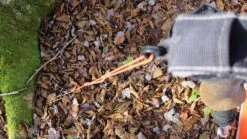 SlingFin CrossBow 2 R/S -Tent Specialty Store IMG 5361