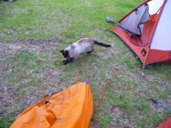 MSR Fury -Tent Specialty Store msrfury4