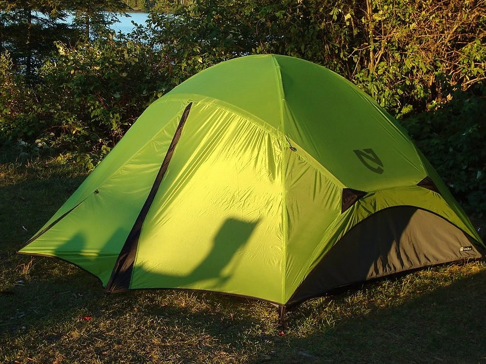 NEMO Losi 3P 16 NEMO Losi 3P - Image 16