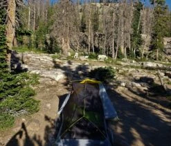 L.L.Bean Microlight UL 2P -Tent Specialty Store tent and goats